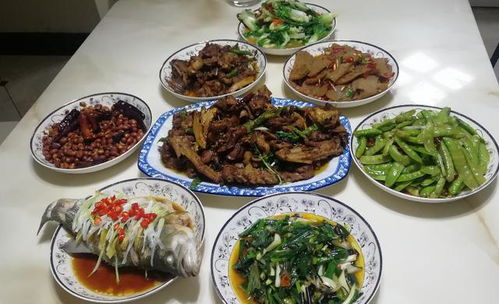 吃得少，活得久？—— 科學視角下的飲食與長壽